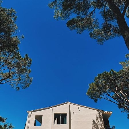 Can Romy Appartement T2F A 20M De La Plage De Cala Montgo L' Escala Zewnętrze zdjęcie