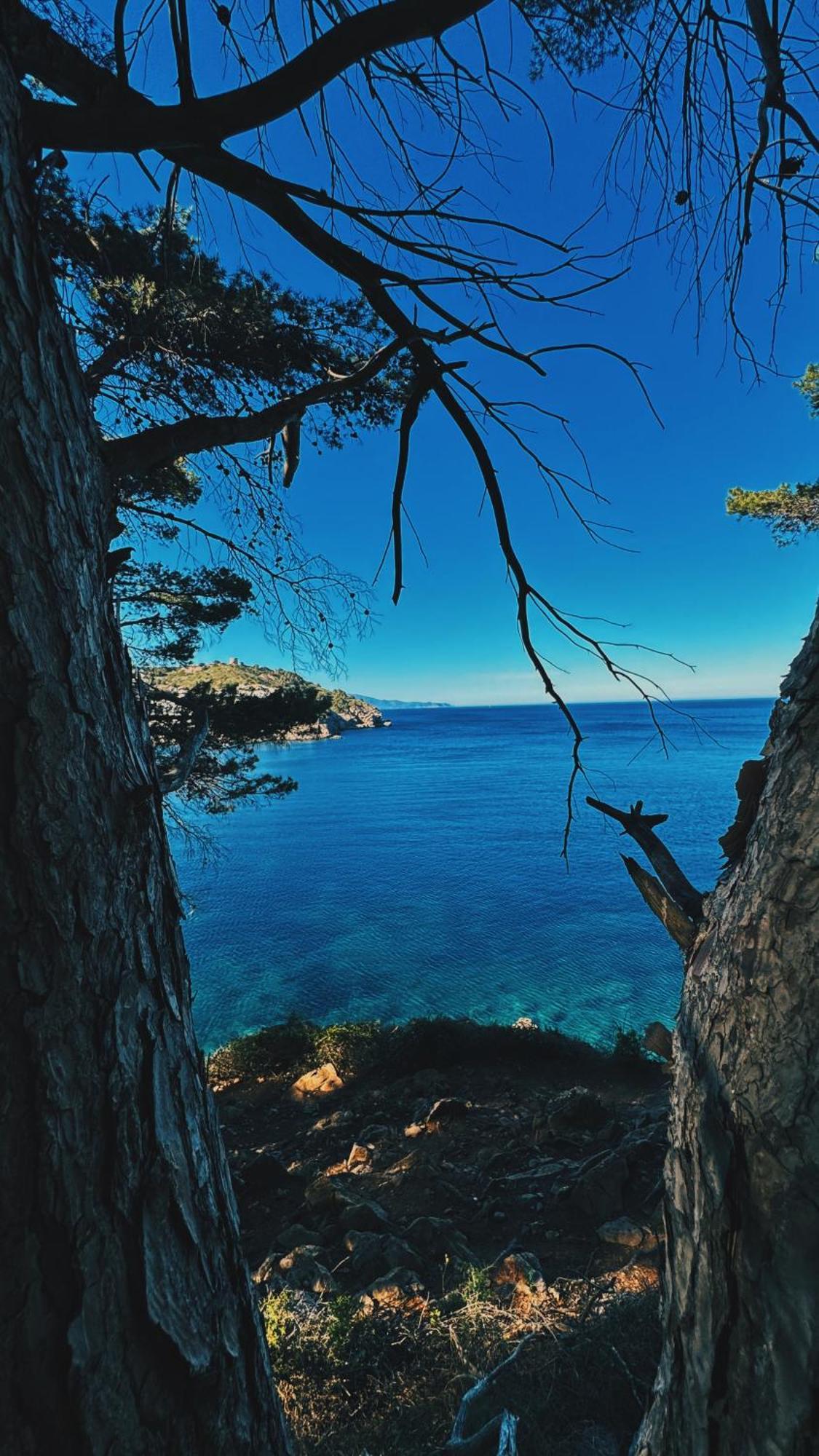 Can Romy Appartement T2F A 20M De La Plage De Cala Montgo L' Escala Zewnętrze zdjęcie