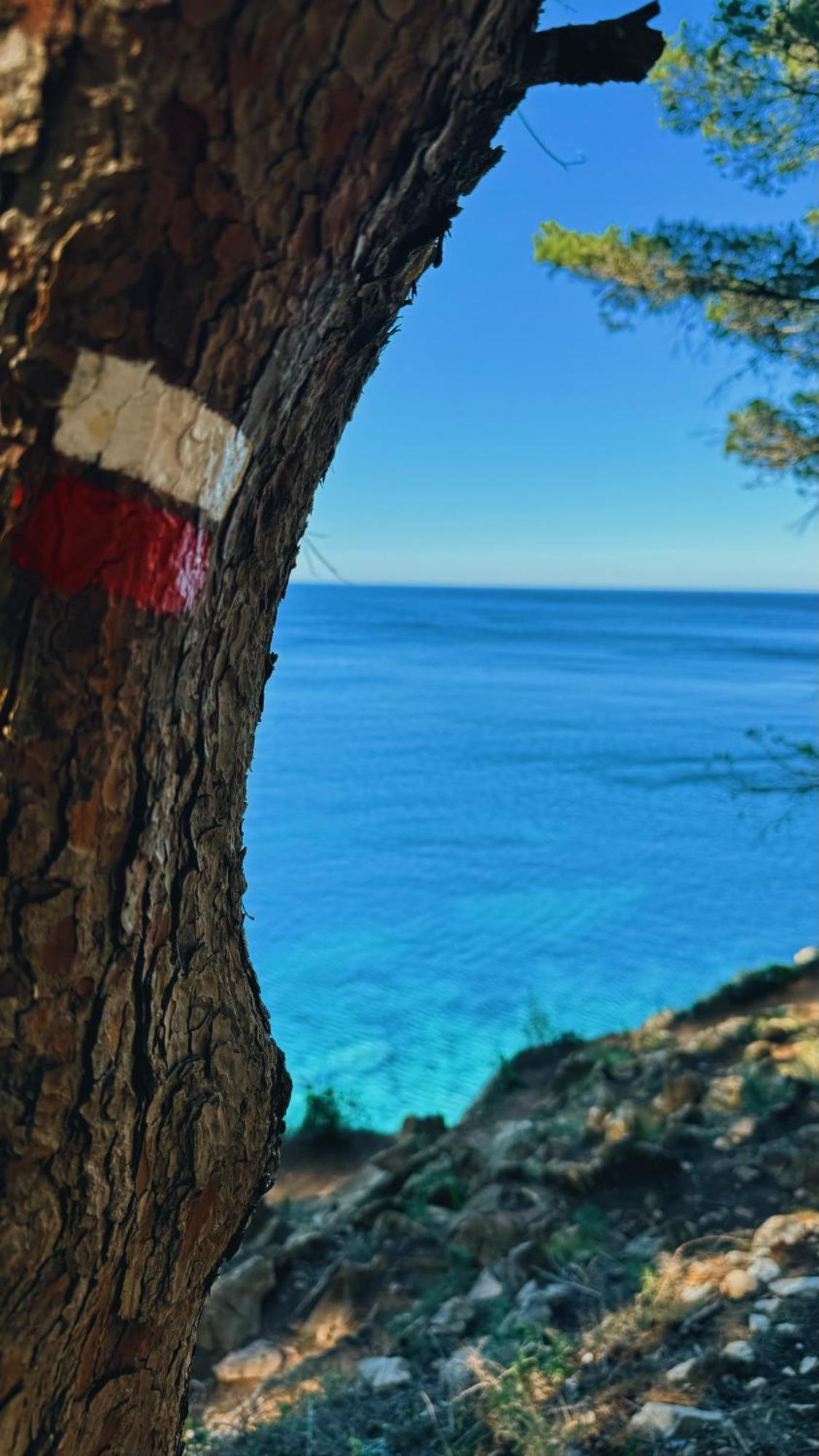 Can Romy Appartement T2F A 20M De La Plage De Cala Montgo L' Escala Zewnętrze zdjęcie
